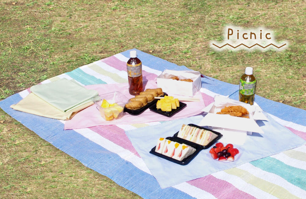 ランチョンマットはピクニックでも使える