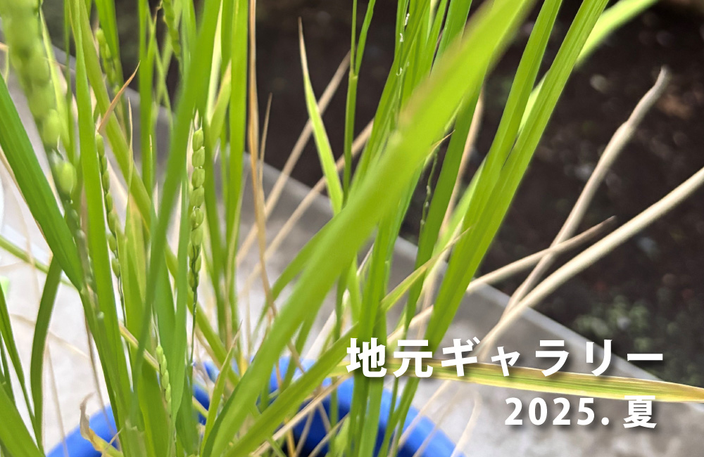 地元の風景